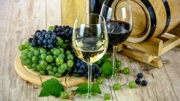 Wine and grapes