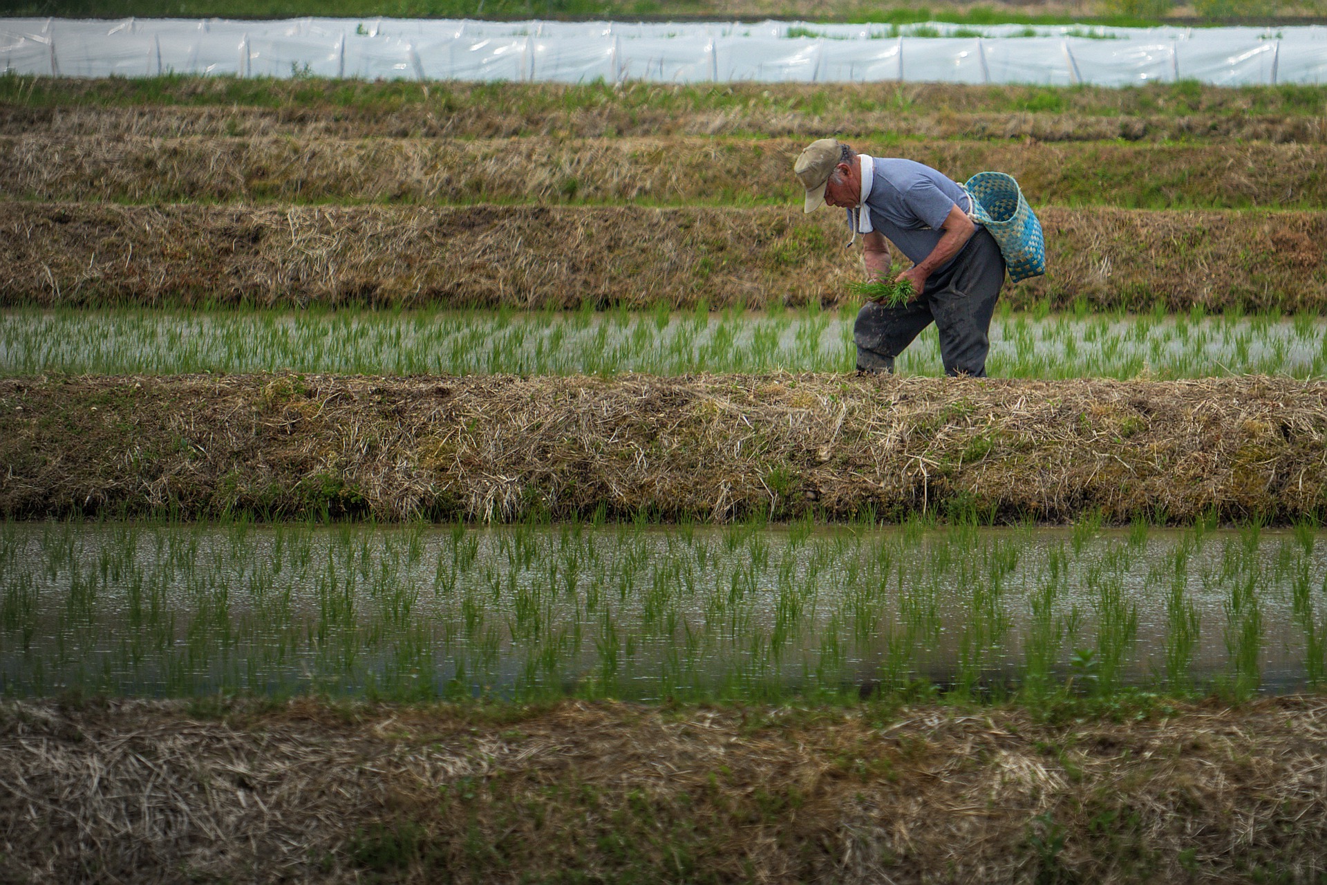 Remote Workers May Help Boost Dwindling Local Economies – SME Japan ...