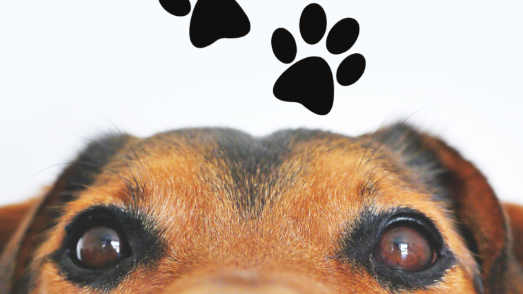 Work-Life Balance in Japan – SME Japan | Business in Japan